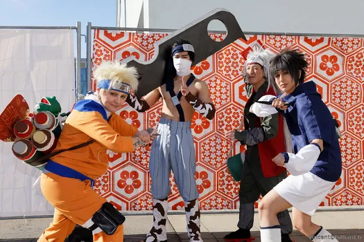 Copyright : Vincent Folliard